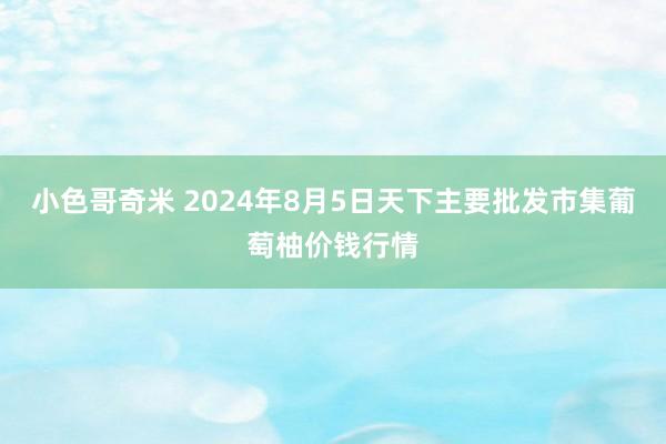 小色哥奇米 2024年8月5日天下主要批发市集葡萄柚价钱行情