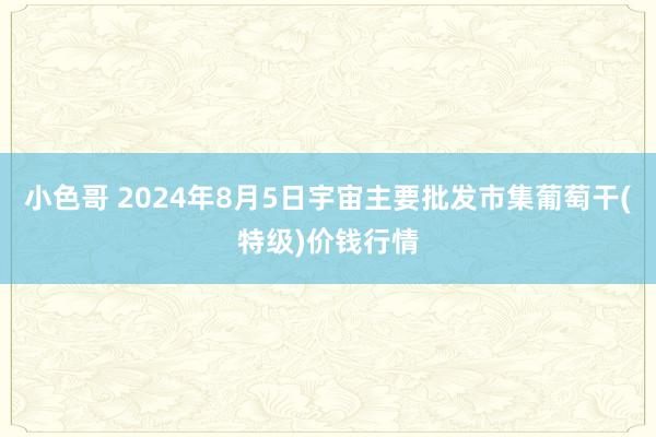 小色哥 2024年8月5日宇宙主要批发市集葡萄干(特级)价钱行情