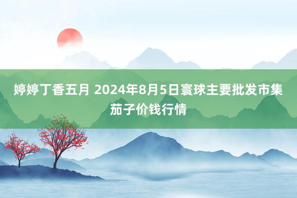 婷婷丁香五月 2024年8月5日寰球主要批发市集茄子价钱行情