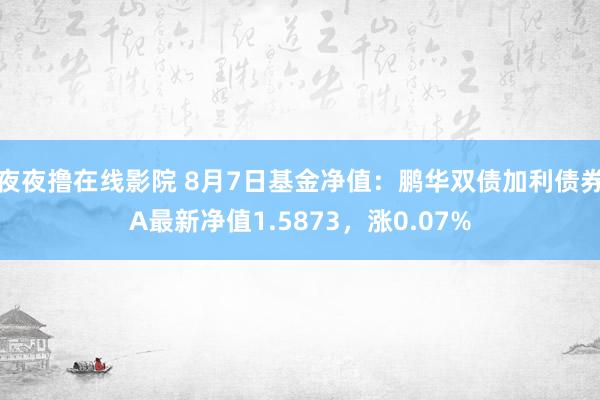 夜夜撸在线影院 8月7日基金净值：鹏华双债加利债券A最新净值1.5873，涨0.07%