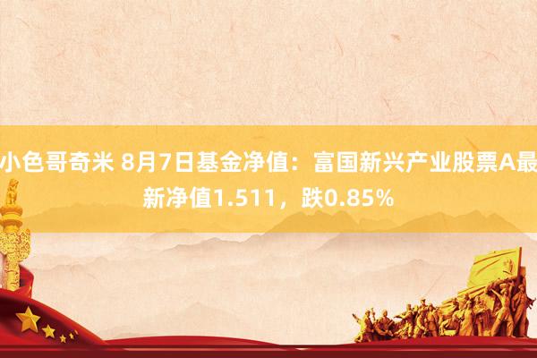 小色哥奇米 8月7日基金净值：富国新兴产业股票A最新净值1.511，跌0.85%