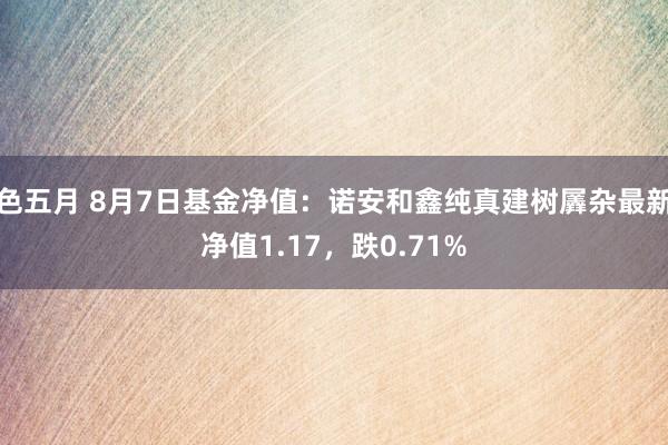 色五月 8月7日基金净值：诺安和鑫纯真建树羼杂最新净值1.17，跌0.71%