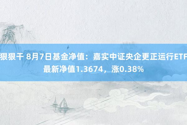 狠狠干 8月7日基金净值：嘉实中证央企更正运行ETF最新净值1.3674，涨0.38%