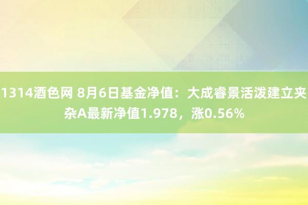 1314酒色网 8月6日基金净值：大成睿景活泼建立夹杂A最新净值1.978，涨0.56%