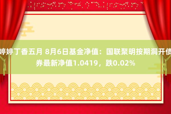 婷婷丁香五月 8月6日基金净值：国联聚明按期洞开债券最新净值1.0419，跌0.02%