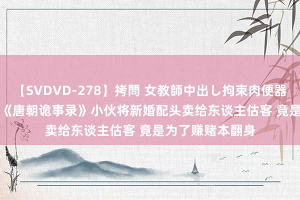 【SVDVD-278】拷問 女教師中出し拘束肉便器 仁科百華 RISA 《唐朝诡事录》小伙将新婚配头卖给东谈主估客 竟是为了赚赌本翻身