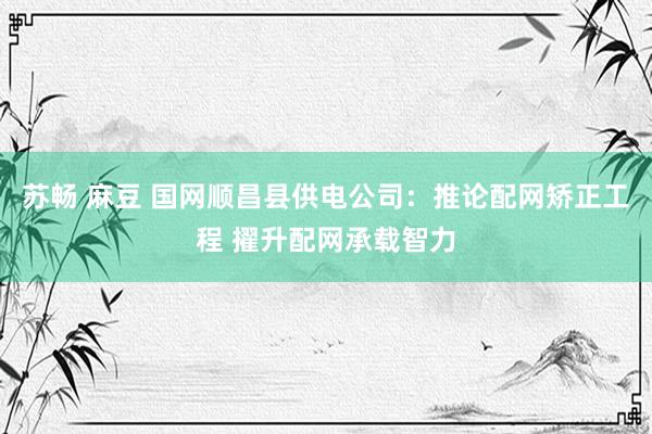 苏畅 麻豆 国网顺昌县供电公司：推论配网矫正工程 擢升配网承载智力