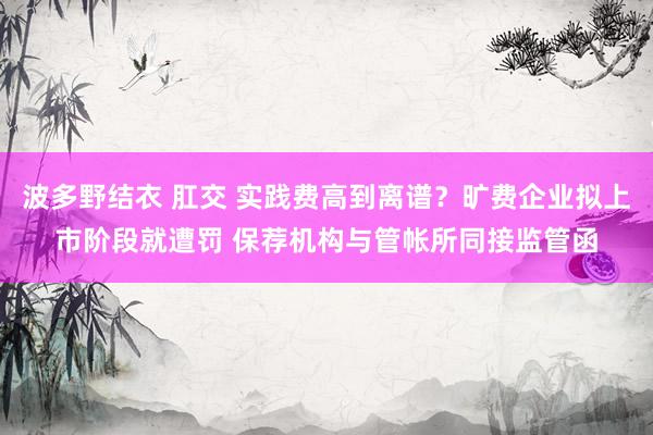 波多野结衣 肛交 实践费高到离谱？旷费企业拟上市阶段就遭罚 保荐机构与管帐所同接监管函