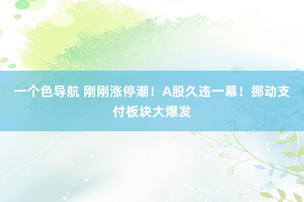 一个色导航 刚刚涨停潮！A股久违一幕！挪动支付板块大爆发