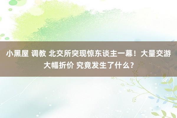 小黑屋 调教 北交所突现惊东谈主一幕！大量交游大幅折价 究竟发生了什么？