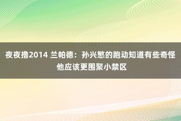 夜夜撸2014 兰帕德：孙兴慜的跑动知道有些奇怪 他应该更围聚小禁区