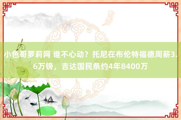 小色哥萝莉网 谁不心动？托尼在布伦特福德周薪3.6万镑，吉达国民条约4年8400万