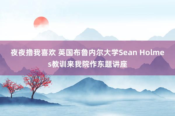 夜夜撸我喜欢 英国布鲁内尔大学Sean Holmes教训来我院作东题讲座